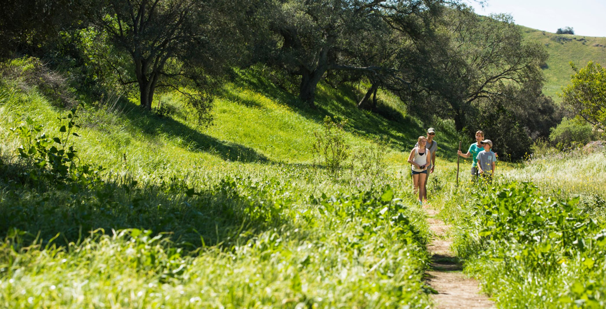 People hiking on a green mountain trail