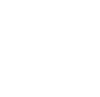 petit bateau logo